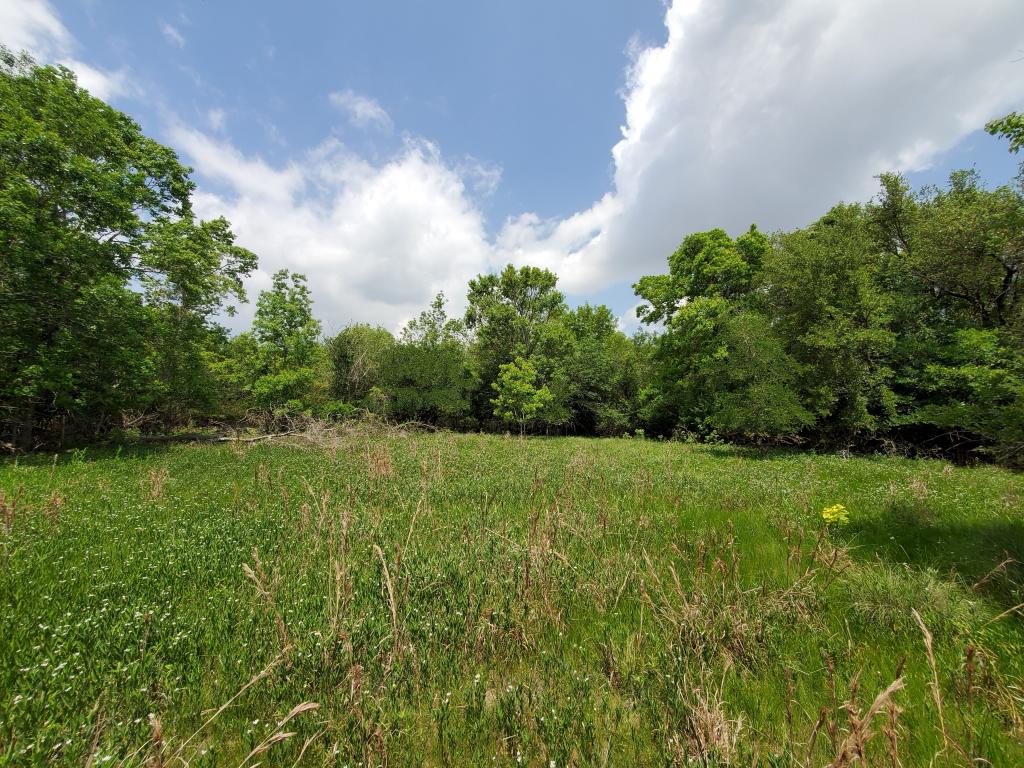 Ridgeline Neighborhood Park Project | AustinTexas.gov