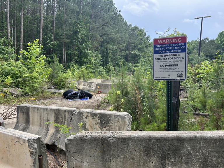 It's time we deliver': DeKalb County gives updates on renovations to Intrenchment Creek Park